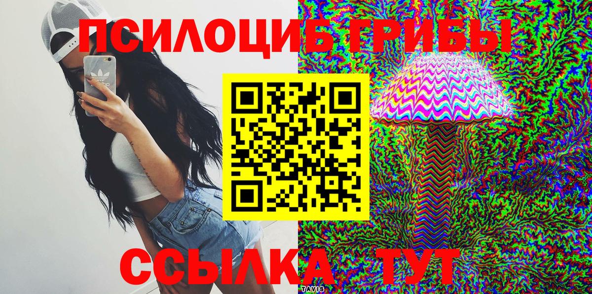 Галлюциногенные грибы Psilocybine cubensis  магазин продажи   Рязань  Вход с VPN  Псилоцибиновые грибы мицелий 